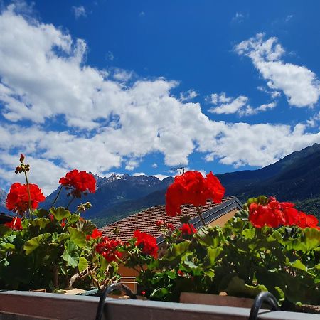 B&B Il Pettirosso Malonno エクステリア 写真