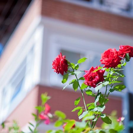 B&B Il Pettirosso Malonno エクステリア 写真