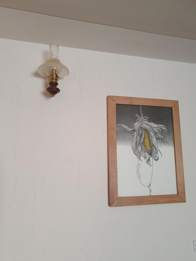 B&B Il Pettirosso Malonno エクステリア 写真
