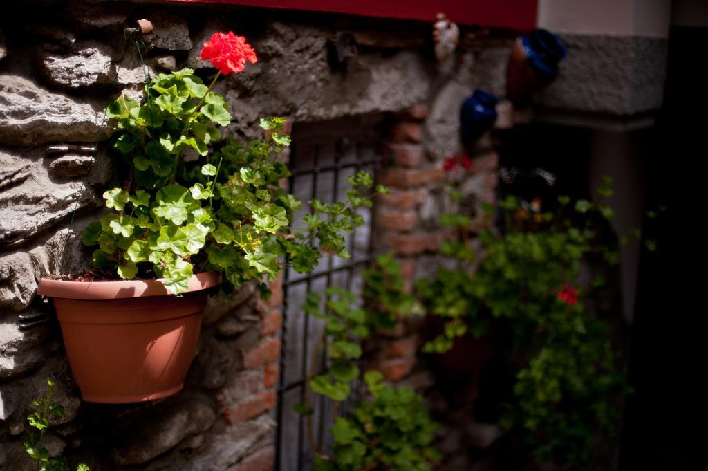 B&B Il Pettirosso Malonno エクステリア 写真